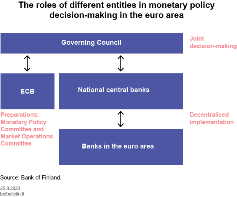The roles of different entities in monetary policy decision making in the euro area